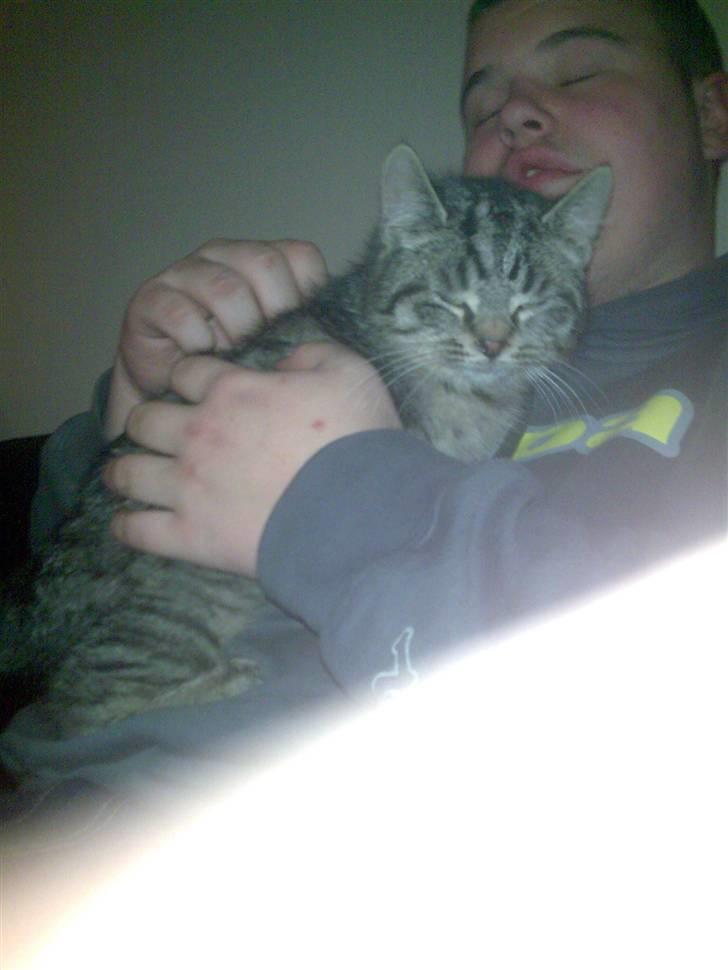 Huskat Valde R.I.P billede 5