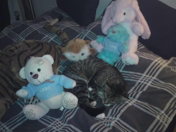 Huskat Silke - FIND EN FEJL! :D billede 16