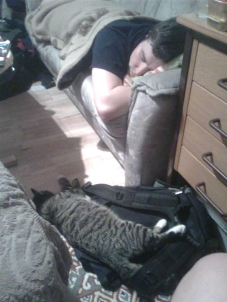 Huskat Hawkeye - far og Hawkeye får sig en lille lur sammen :-) billede 11