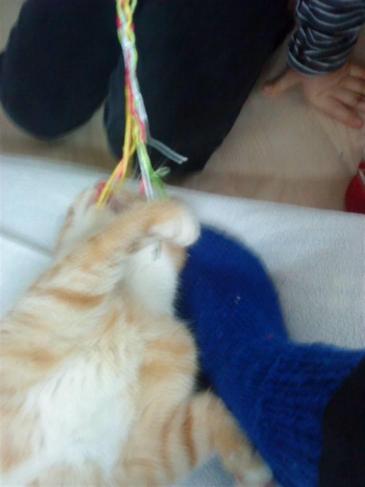 Huskat Basse - Så er vi på vej ned billede 14