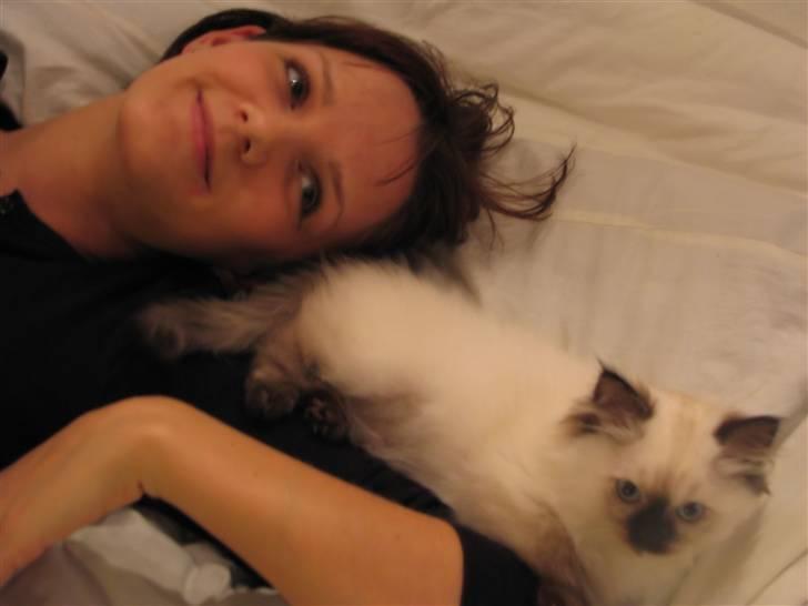 Blanding af racer Sugar Pie Honey Bunny billede 10