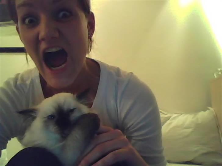 Blanding af racer Sugar Pie Honey Bunny - AAv!! billede 13