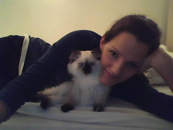 Blanding af racer Sugar Pie Honey Bunny billede 15