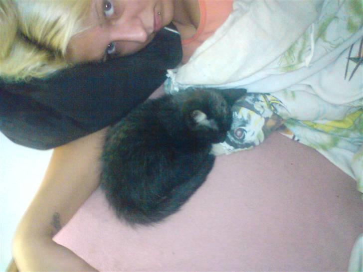 Huskat Luci billede 12