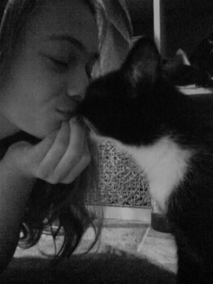 Huskat Mania <3  - En dejlig mysser til den dejligste kat! <3 billede 9