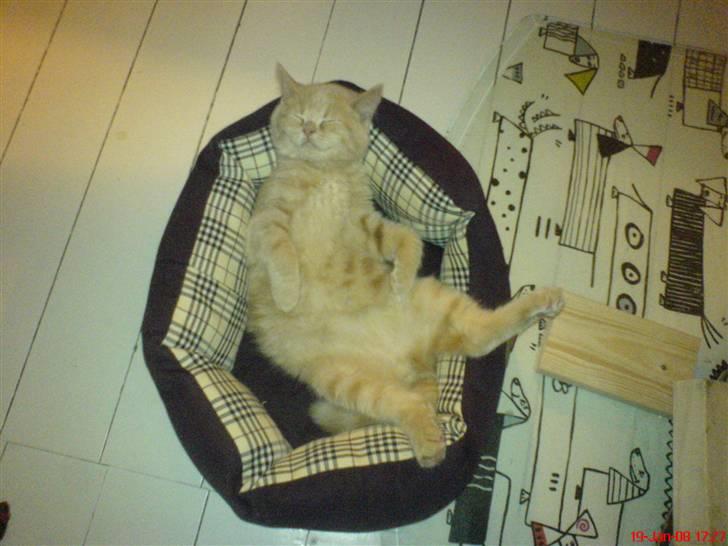 Blanding af racer Uber billede 9