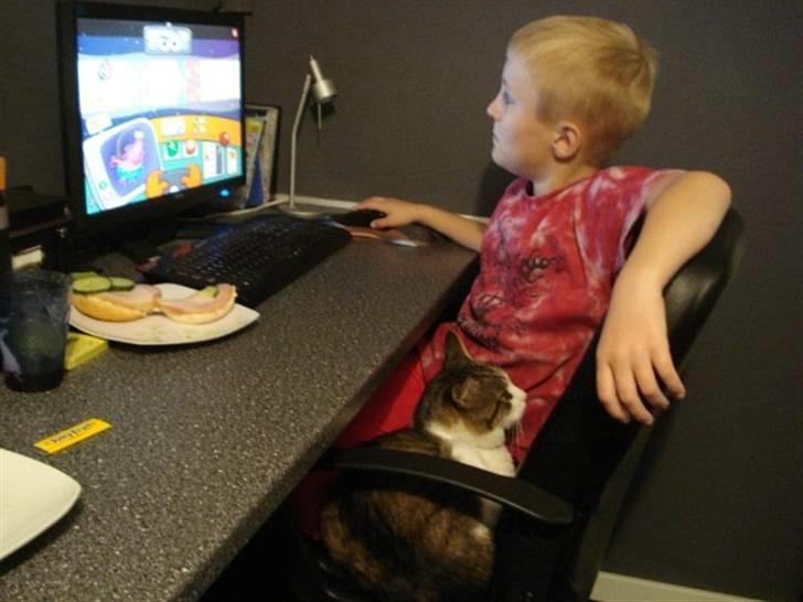 Blanding af racer Oliver - Oliver er Tim s kat og den følger ham altid.. billede 18