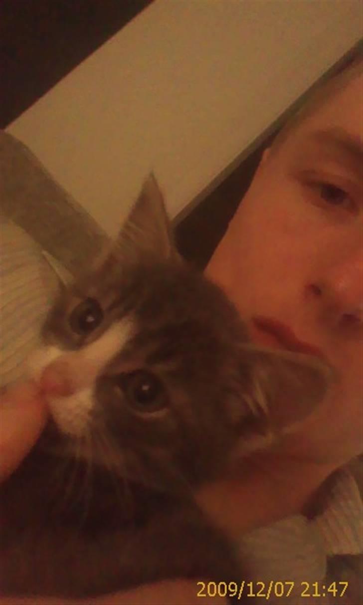 Huskat Lucca - Det så mig der "chiller" lidt med Lucca. :) billede 8