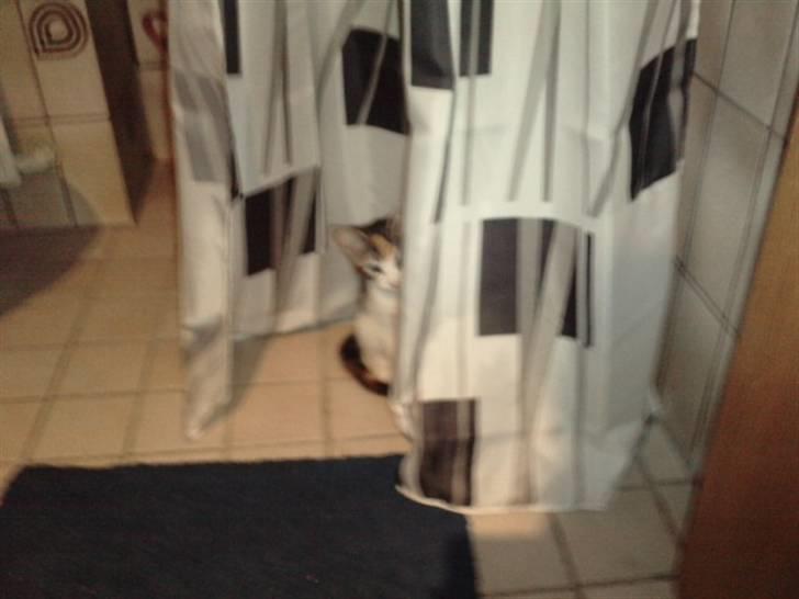 Huskat Plet billede 4