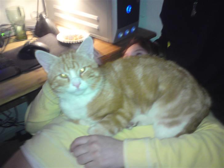 Huskat Desmo *VÆK :'(* billede 8