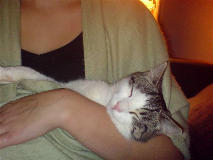 Huskat George Clooney - George Clooney elsker at putte ved sin mor. billede 3