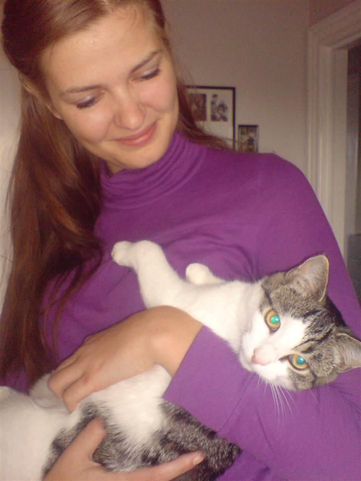 Huskat George Clooney billede 10