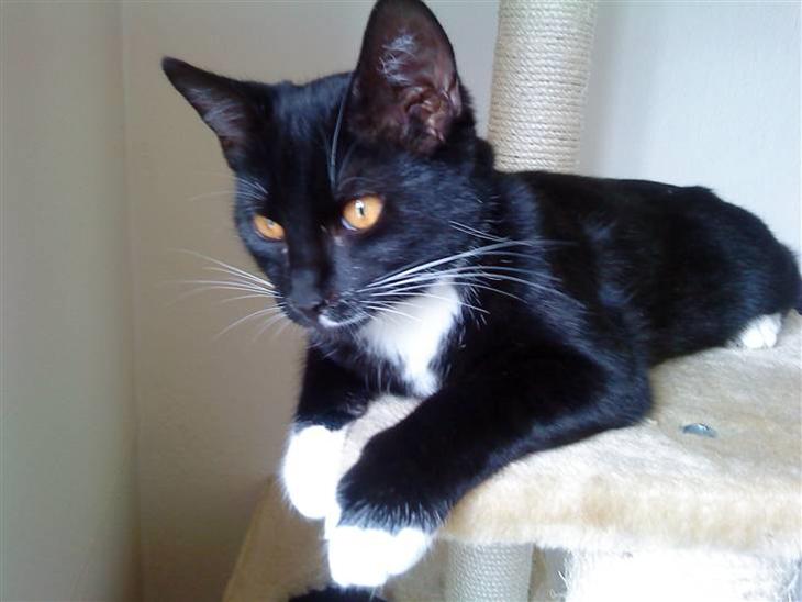 {{currentPhoto.altText}} billede {{currentPhoto.number}}