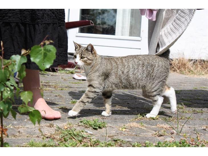 {{currentPhoto.altText}} billede {{currentPhoto.number}}