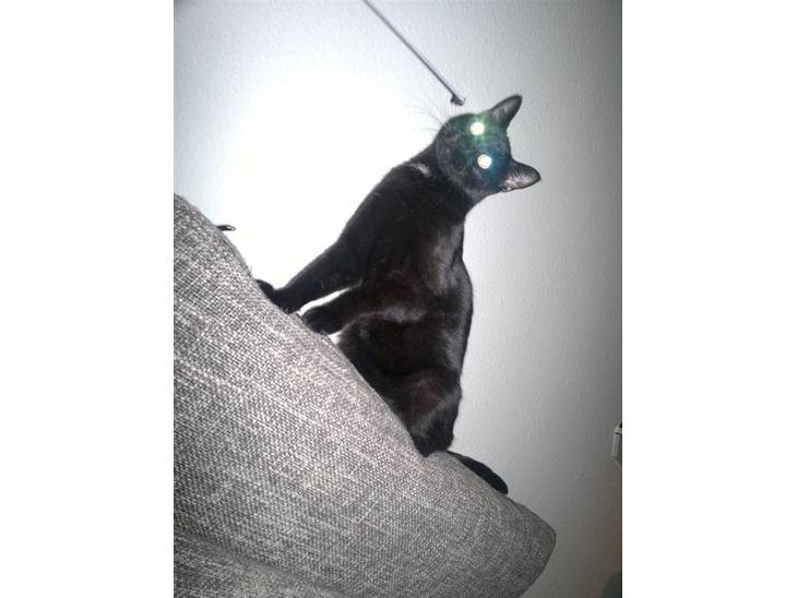 {{currentPhoto.altText}} billede {{currentPhoto.number}}