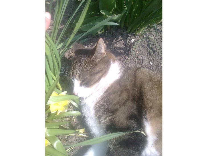 {{currentPhoto.altText}} billede {{currentPhoto.number}}