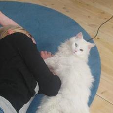 Blanding af racer Hugo - R.I.P 04.01.11