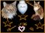 Maine Coon Duchess R.I.P min skat