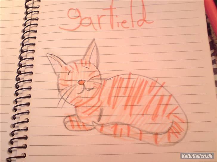 Blanding af racer Garfild <33 R.I.P  billede 12