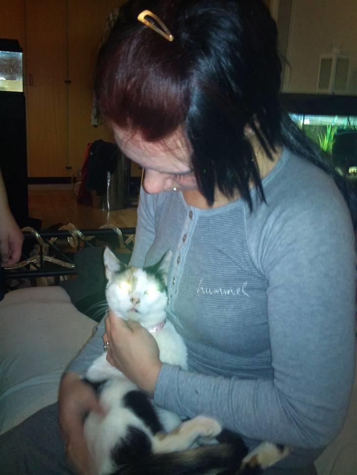 Huskat Mulle billede 11