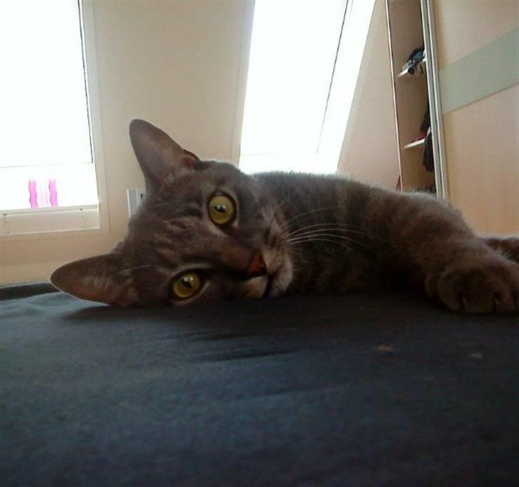 Huskat Ferrari - Er jeg ik sød? billede 12