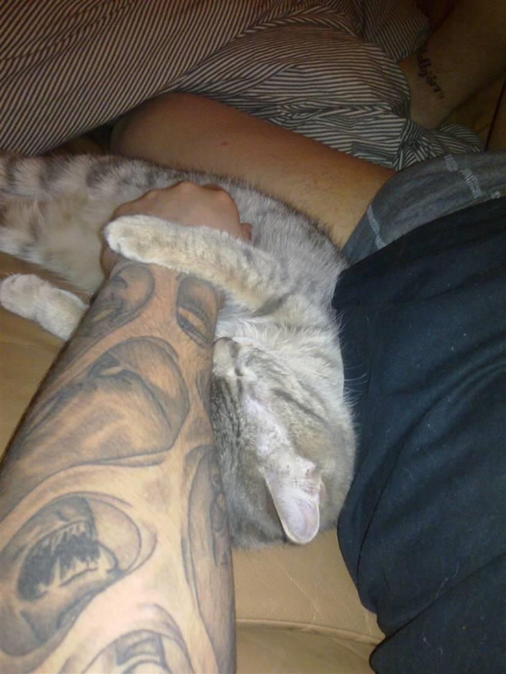 Blanding af racer Freja - Råhygge med farmand :-) billede 9