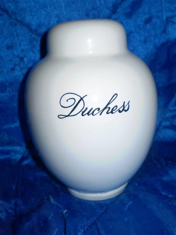 Maine Coon Duchess R.I.P min skat billede 11