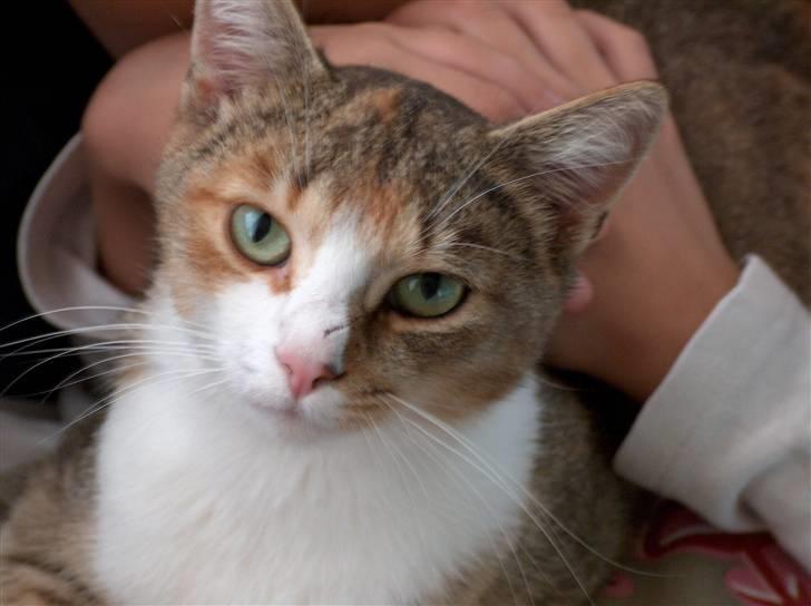 Huskat vivi - Velkommen til vivi´s profil :) billede 1