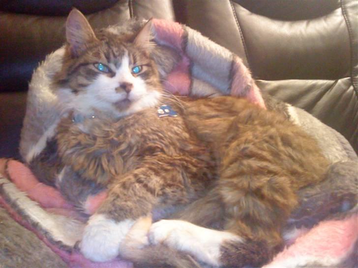 Blanding af racer Wormie - Elsker min baby <3 Wormie <3  billede 1