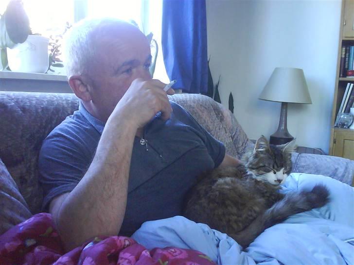 Blanding af racer Wormie - ormen og min far  billede 6