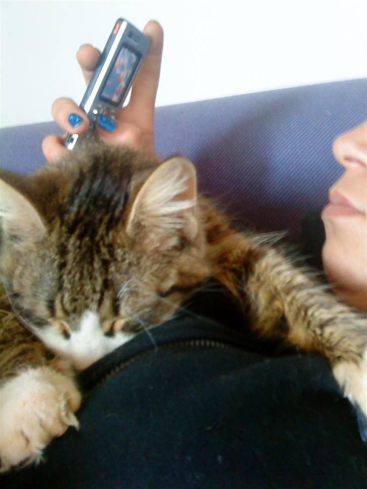 Blanding af racer Wormie - endnu en gang putter vi lige lidt :)  billede 7