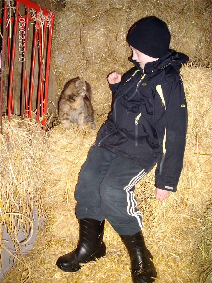 Huskat STJERNE billede 3