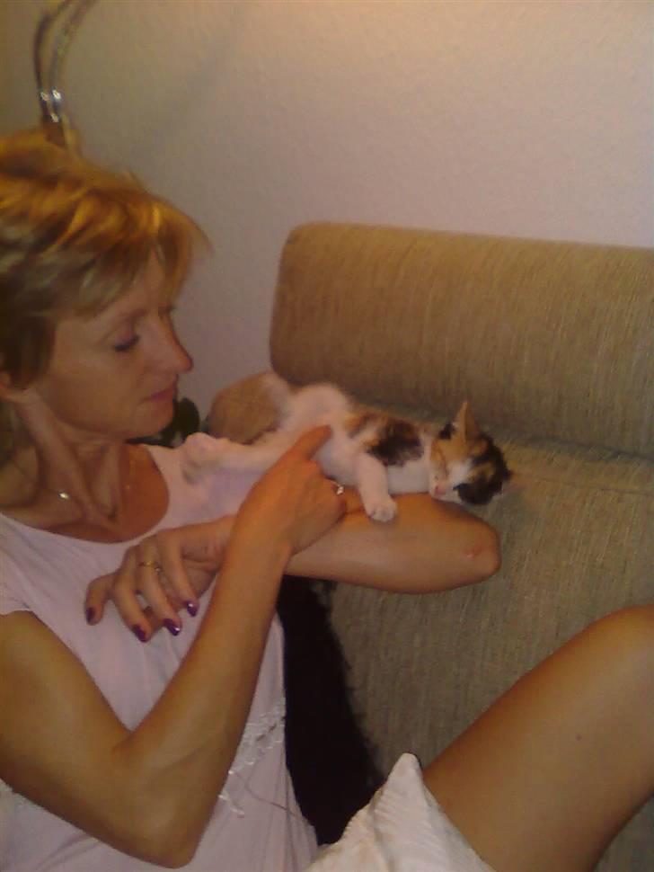 Blanding af racer lillefis - iiih hvor du hygger dig. billede 6