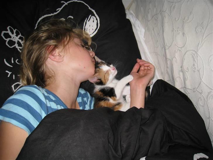 Blanding af racer lillefis - jeg sover med min allerbeste ven. billede 11