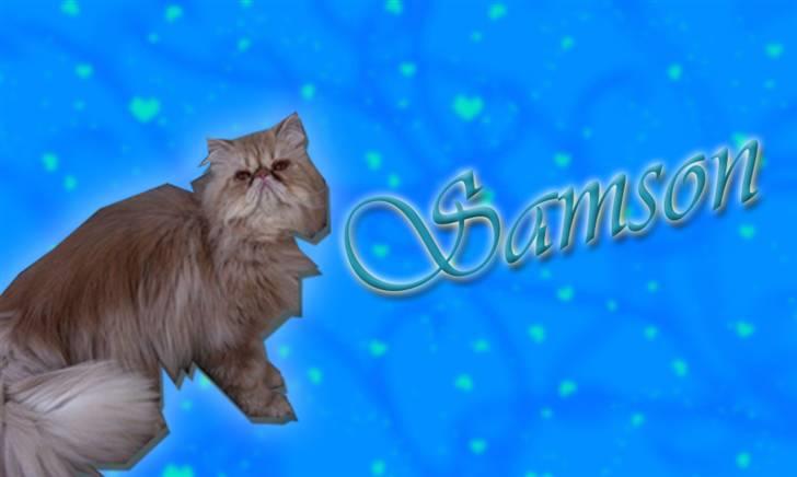 Perser Samson - Et billede jeg lavede til Samson. (: billede 5