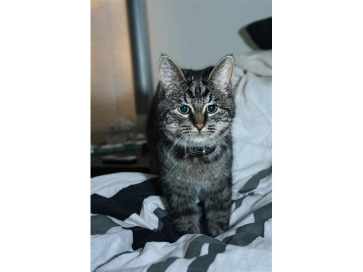 {{currentPhoto.altText}} billede {{currentPhoto.number}}