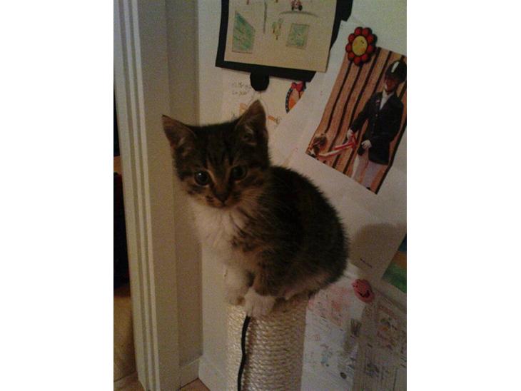 {{currentPhoto.altText}} billede {{currentPhoto.number}}