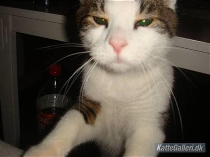 {{currentPhoto.altText}} billede {{currentPhoto.number}}