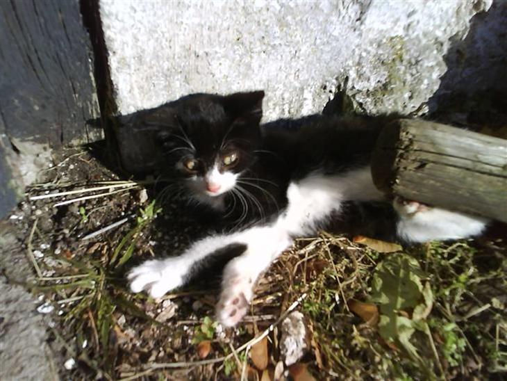 {{currentPhoto.altText}} billede {{currentPhoto.number}}