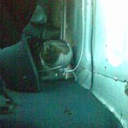 Blanding af racer Opel