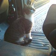 Blanding af racer Opel