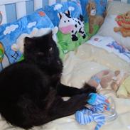 Blanding af racer Faster