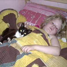 Blanding af racer Findus