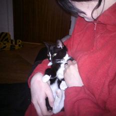 Huskat Charlie R.I.P