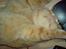 British Shorthair Wiki's Odin (Eddie)