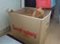 British Shorthair Wiki's Odin (Eddie)