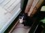 Huskat Pusser