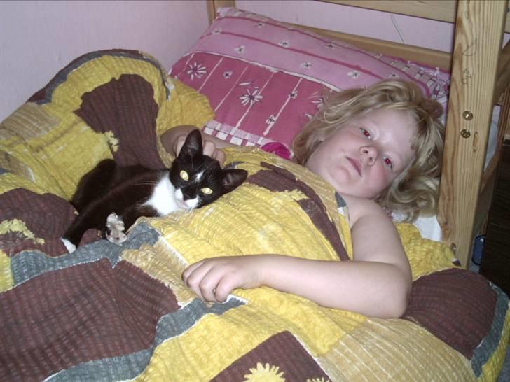 Blanding af racer Findus - Sove hos Anne-Mette billede 3