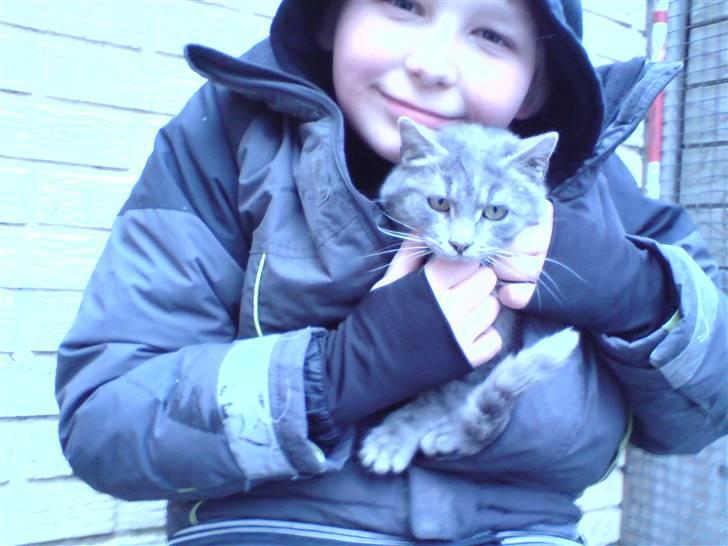 Huskat mercedes - mig og katten billede 2