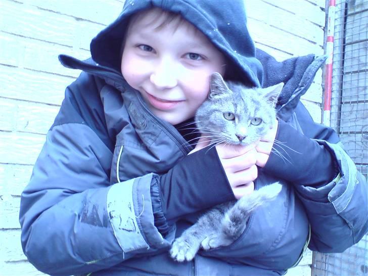 Huskat mercedes billede 3